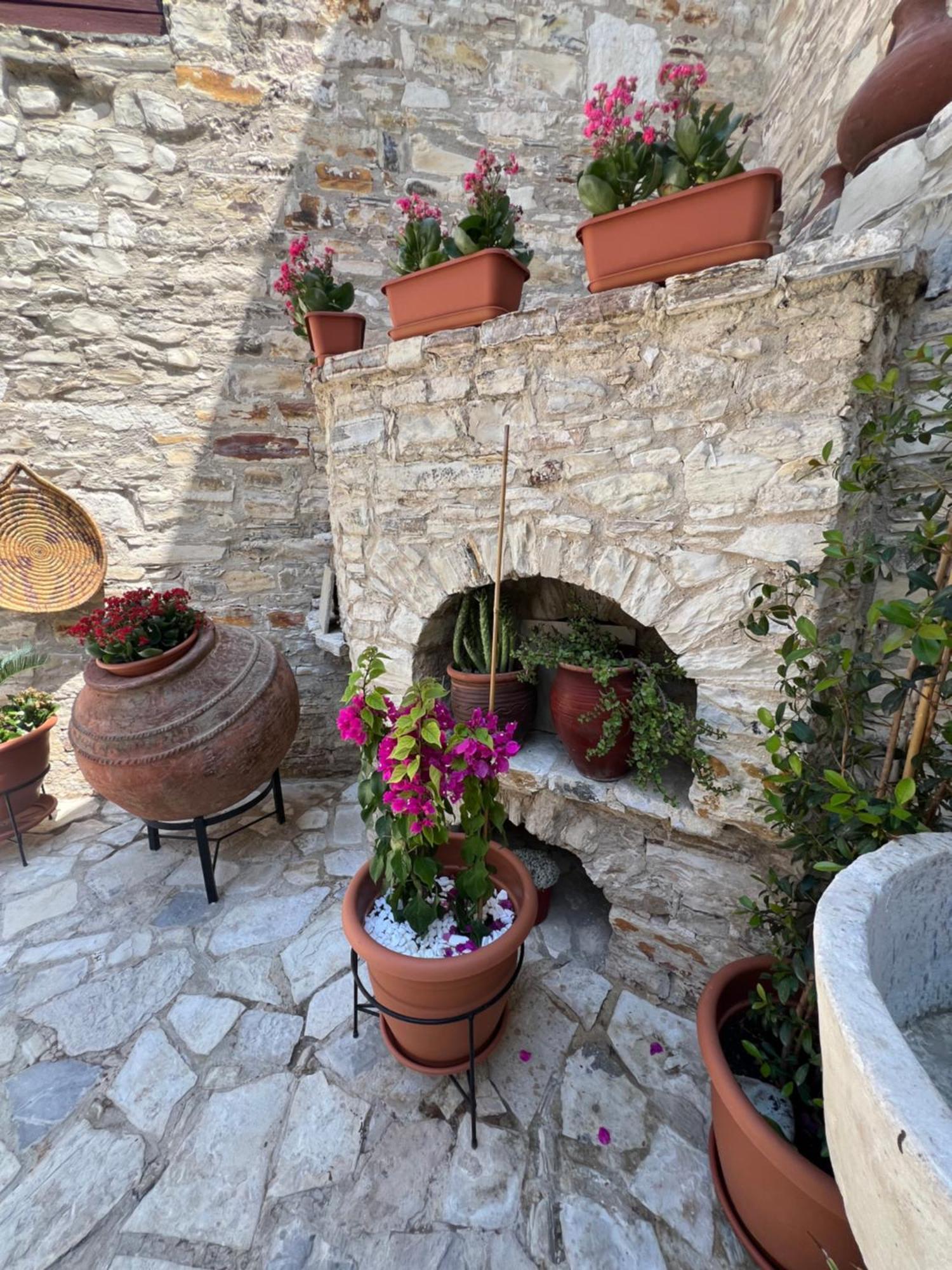 Villa Theodorou Lefkara 外观 照片