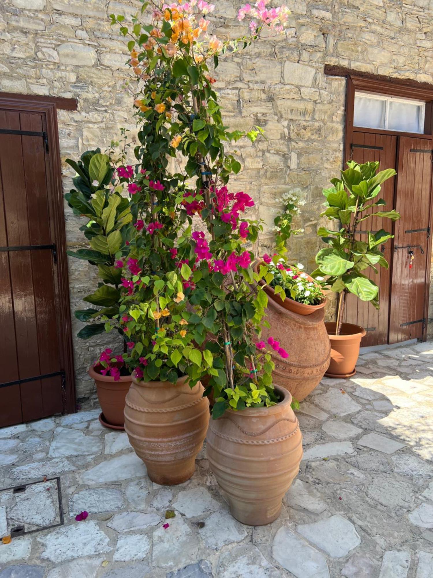 Villa Theodorou Lefkara 外观 照片